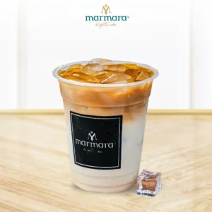 Iced Caffe Latte